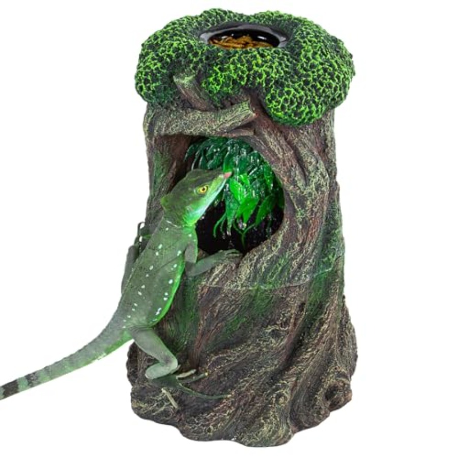 view